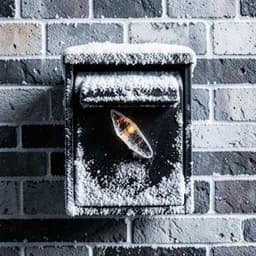 Ice in the Socket