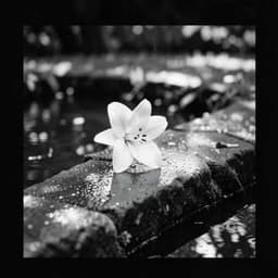 Never Forget